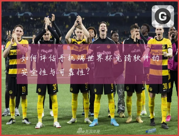 如何评估手机端世界杯竞猜软件的安全性与可靠性？